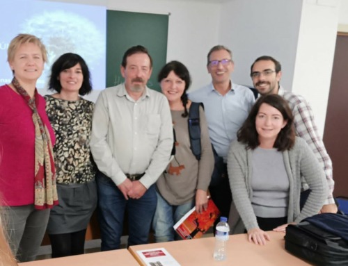 Completada evaluación Grupo Peer Sevilla 2018
