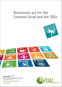 Manual en inglés - Las empresas actúan por el El bien común y los ODS. Directrices de Matthias Kasper y Gerd Hofielen